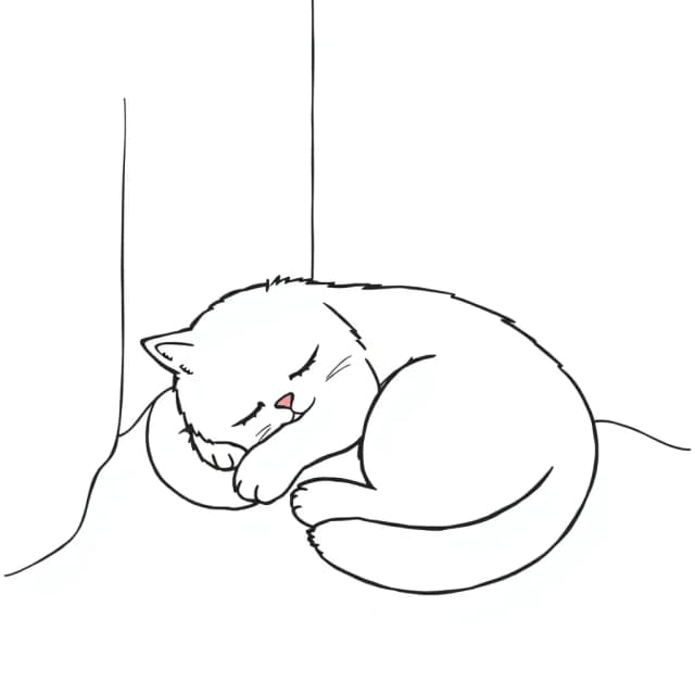 Sleepy Cat