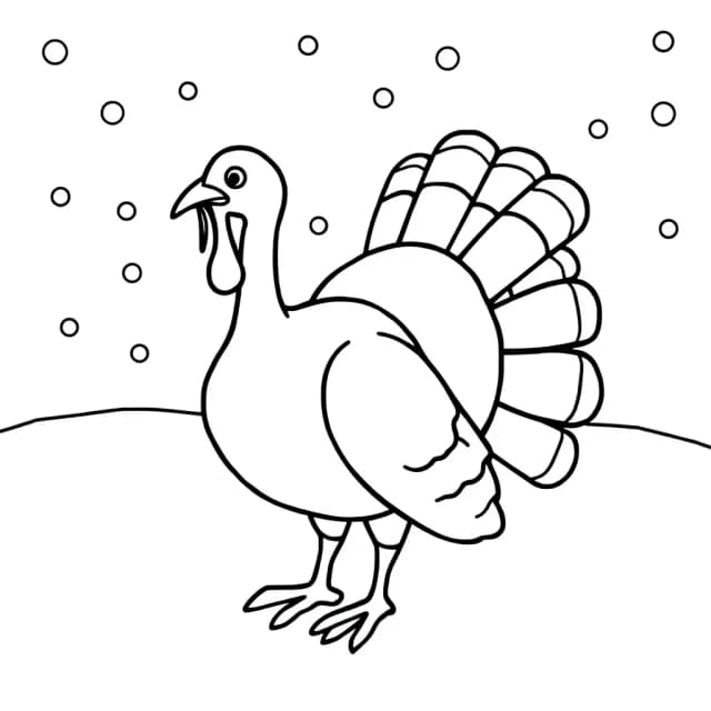 Snowy Turkey